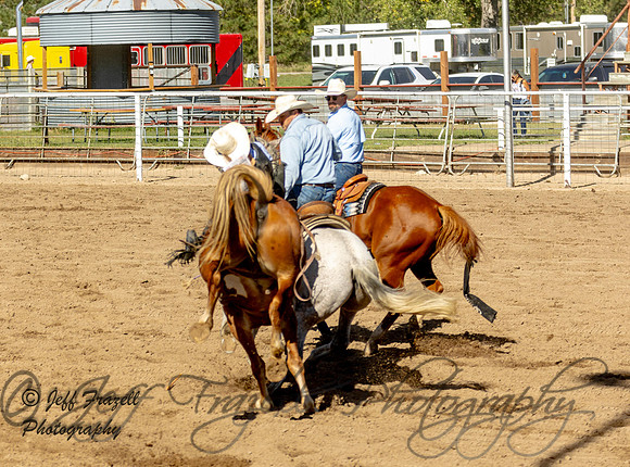 IMG_0527