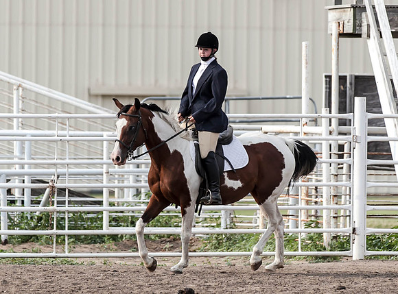 IMG_9230