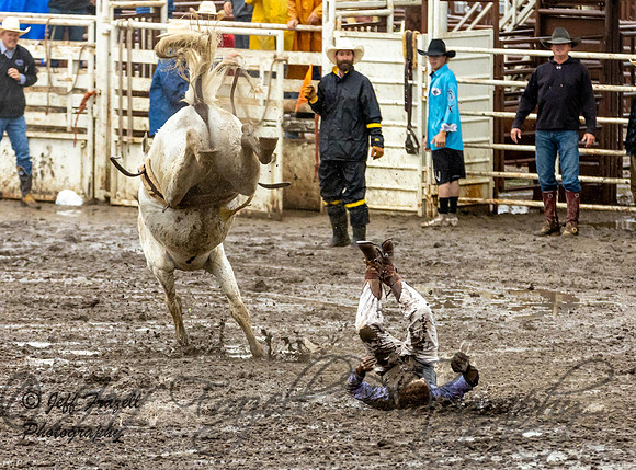 IMG_0573
