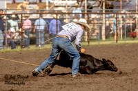 IMG_1762