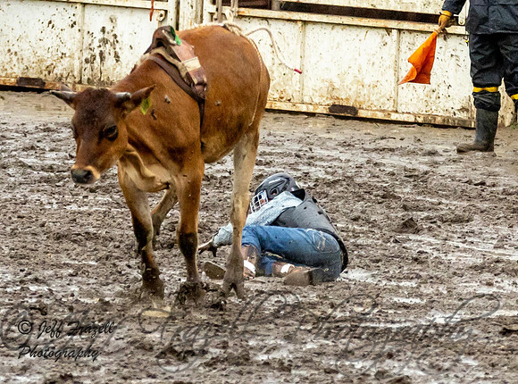 IMG_0590