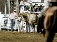_E0I8382-Edit-Edit