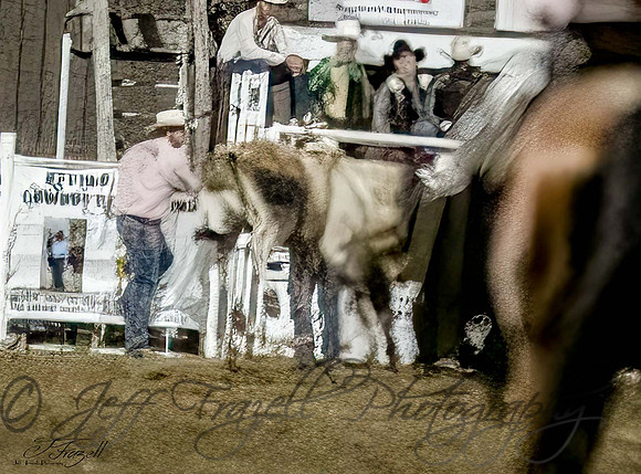 _E0I8382-Edit-Edit