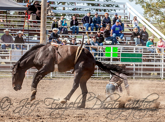 IMG_3732