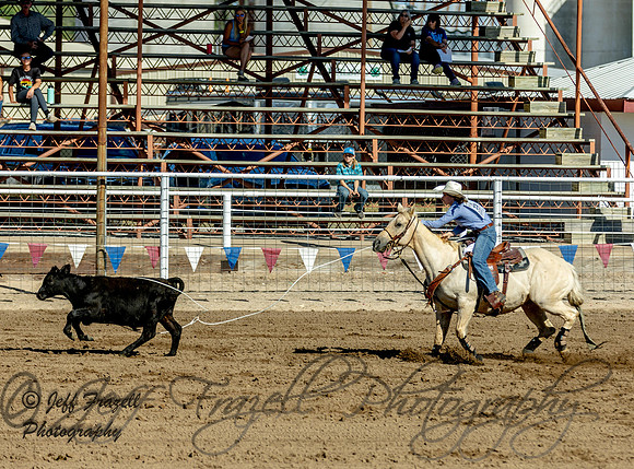 IMG_4340