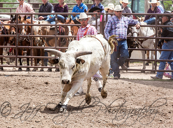 IMG_4793