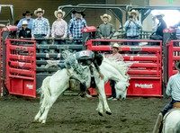 HS Short Go Bareback Sunday Finals 2022