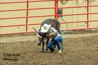 KJHSRA Chute Dogging 1st Go Thursday State Finals 2025