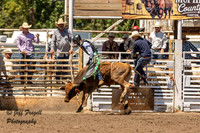IMG_0049