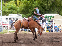 Saddle Bronc / Bareback Riding
