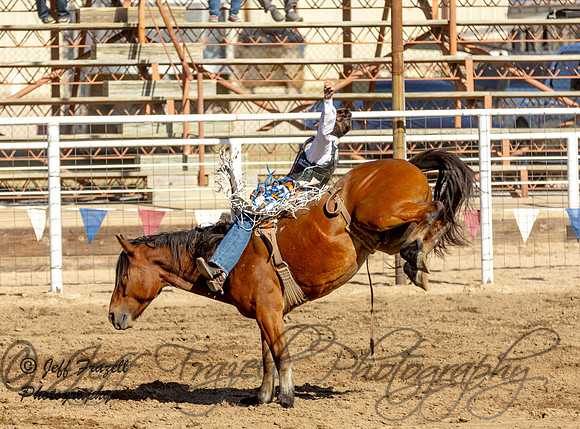 IMG_0549