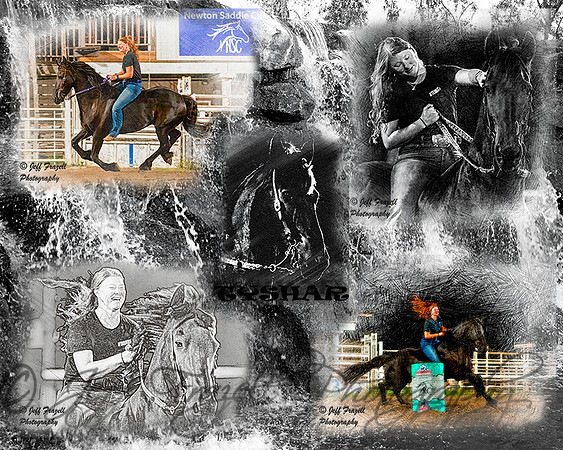 Tyshar collage