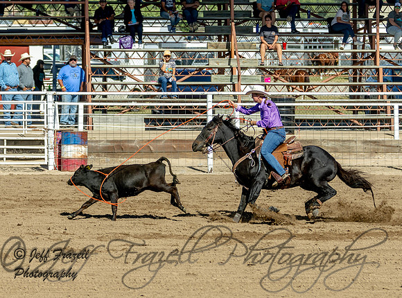 IMG_4442