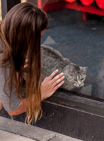 IMG_7468