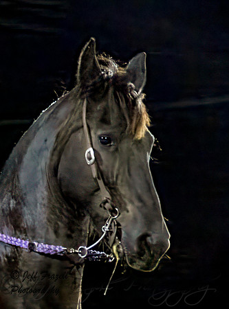 IMG_3368-Edit