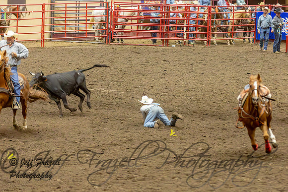 IMG_4294-Enhanced-NR
