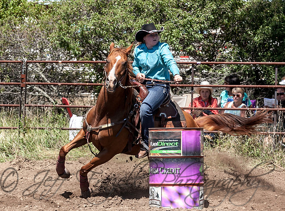 IMG_4204