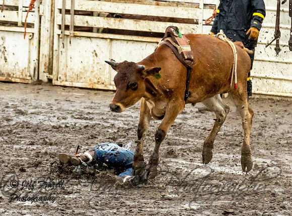 IMG_0588