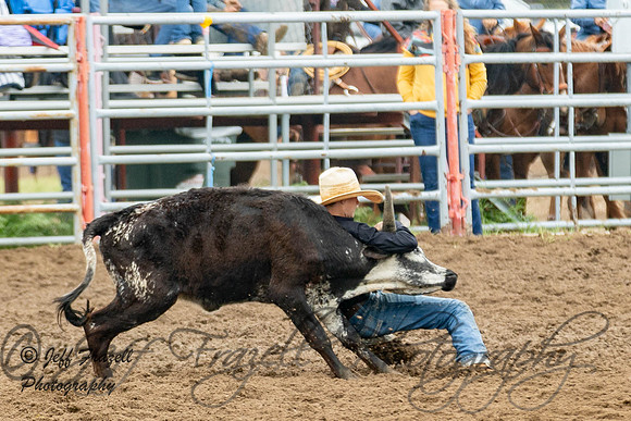 IMG_0458