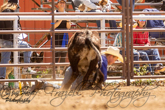IMG_3201