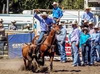Non-Traditional Team Roping Shots Canton Sunday