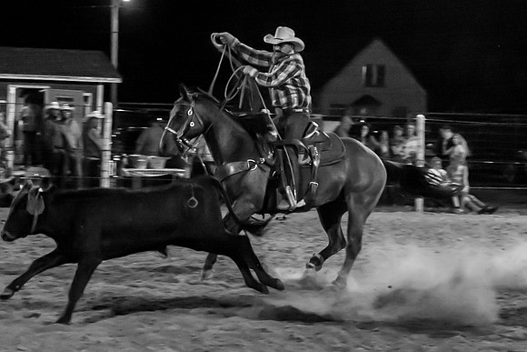 IMG_1618