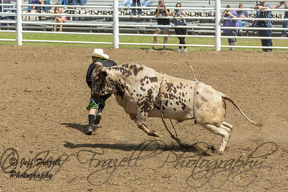 IMG_8460
