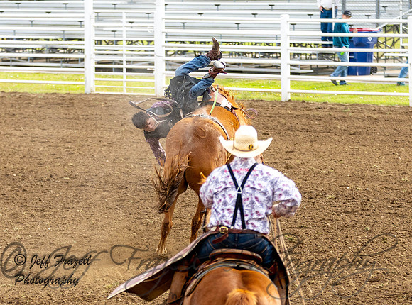 IMG_4322