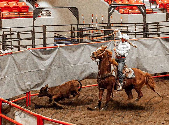 IMG_6037