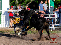 IMG_7482