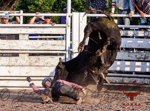 IMG_7554