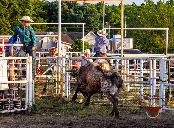 IMG_7588