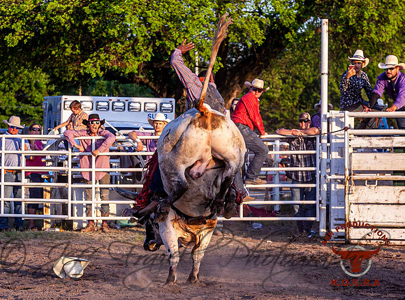 IMG_7622