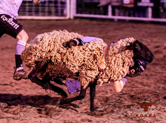 IMG_7951