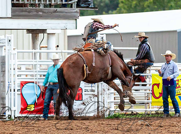 IMG_8173