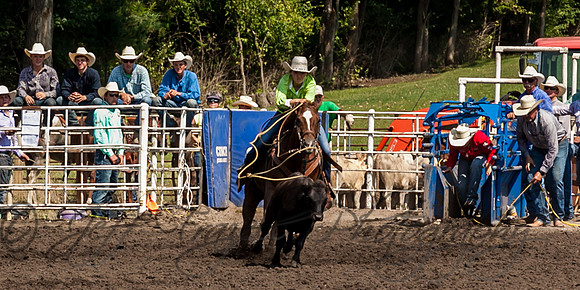 IMG_6264