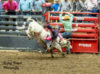 KJHSRA Bull Riding 1st Go Thursday State Finals 2025
