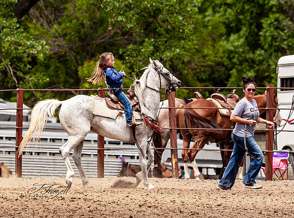 IMG_5956