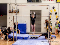 State Gymnastics 2015 Host Newton KS