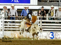 NSC Bull Riding Friday 2024