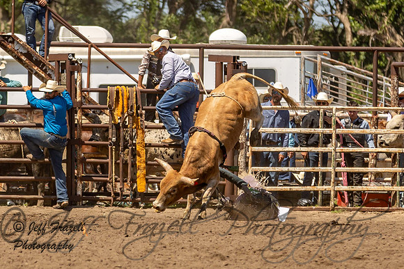 IMG_0197