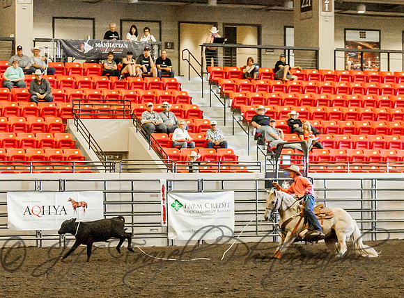 IMG_8013