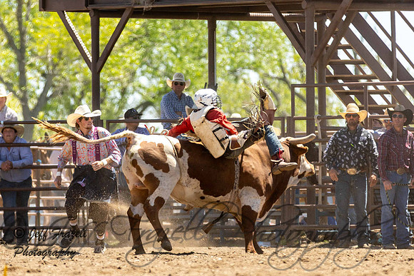 IMG_4367