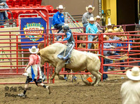KJHSRA Bull Riding 1st Go Thursday State Finals 2025
