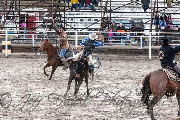 IMG_0009