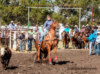 IMG_0377