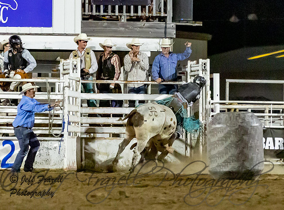 IMG_0013