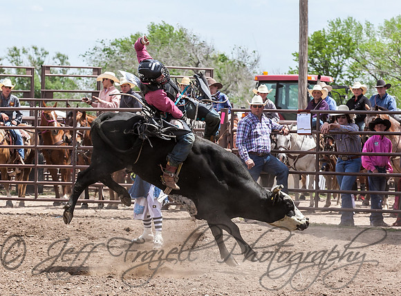 IMG_4799