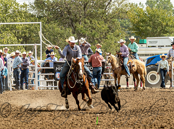 _E0I0733