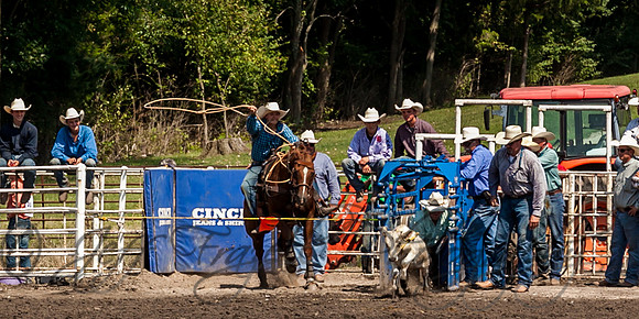 IMG_6297